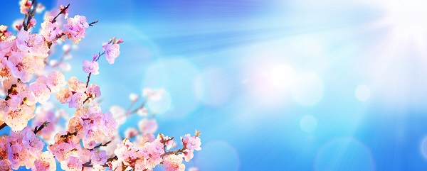 戰(zhàn)疫情，北京韋林公司全體員工齊心協(xié)力共克時艱！